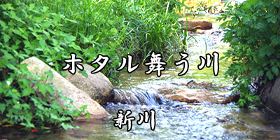 新川写真