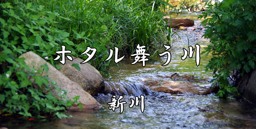 新川写真